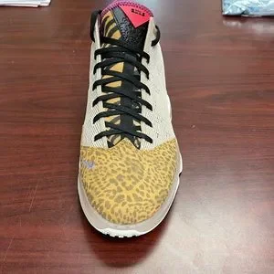 Nike | Shoes | Nike Lebron Xix 9 Low Safari Brand New Mens  display picture 1